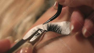 Woman Eye with Long Eyelashes. Eyelash Extension. Lashes, close up, selected focus.