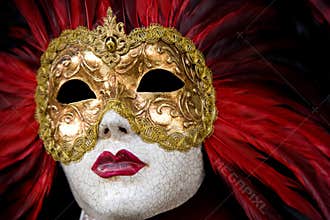 Venice mask
