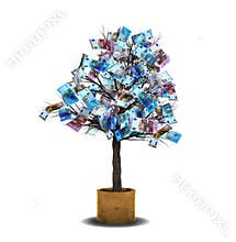 Money Tree Euro Bills