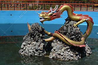 Chinese Dragon