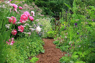 English cottage garden