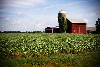 Illinois Farm