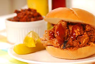 BBQ pulled pork sandwich