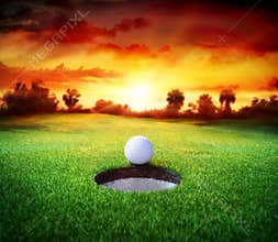 Ball In Hole - Golfing - Target