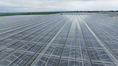 A view into a greenhouse through the roof.