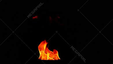 Tongues flame on a black background, slow motion