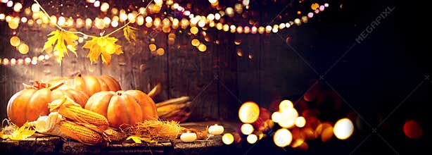Thanksgiving Day background. Wooden table with pumpkins and corncobs