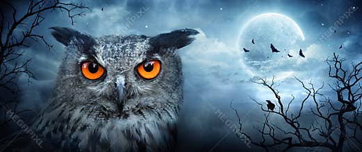 Angry Eagle Owl At Moonlight In The Spooky Forest