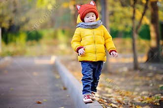 Cute toddler boy wearing hat with ears playing outdoors at autumn day