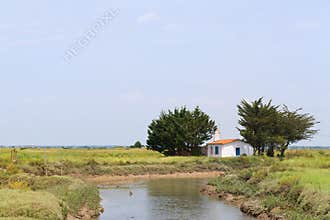 Landscape Charente-Maritime with canal