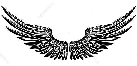Eagle Bird or Angel Wings