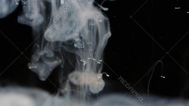 White Liquid Dissolving in Water - Black Background