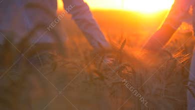 Young beautiful couple in a wheat field. Silhouette on sunset background. Slow motion