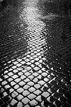 Wet Cobblestone