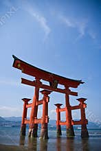 Torii Gate, Japan