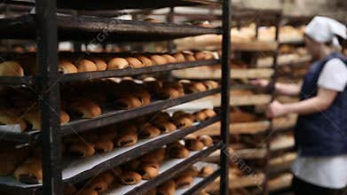 Working in a bakery.