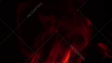 Flames campfire burning in the night in slow motion. Closeups