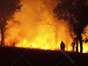 In the Line of Fire