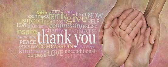 Fund Raising Campaign Website Header saying Thank You