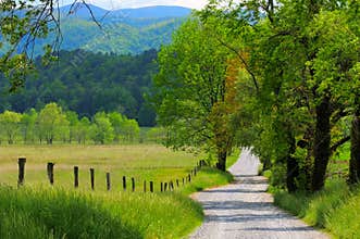 Country road landscape