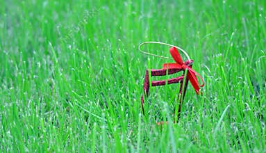 Xmas music notes on a green grass background