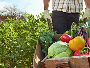 Farmer on local sustainable organic farm
