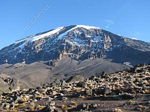 Kilimanjaro