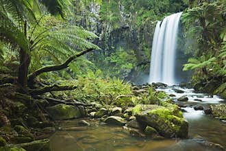 Rainforest waterfalls, Hopetoun Falls, Victoria, Australia