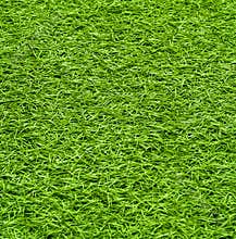 Artificial grass