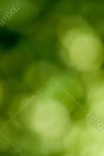 Blurry green