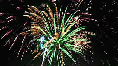 Fireworks Show - Sharp Vibrant Clean LOOP