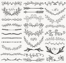 Vector Black Hand Drawn Dividers, Branches, Swirls