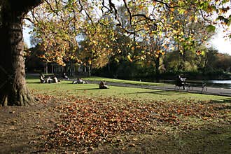 Autumn in park