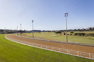 Horse Racing Greyville