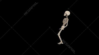 Funny Skeleton Hip Hop Dance