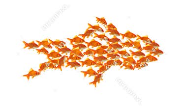 Teamwork
