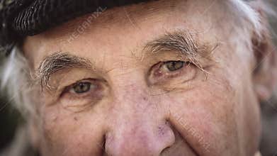 Seniors portrait, sad elderly man looking at camera