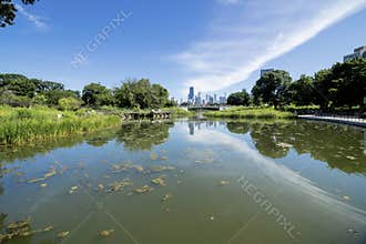 Lincoln Park Zoo in Summer