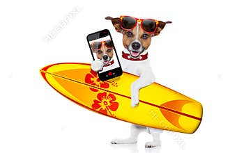 Surfing dog selfie