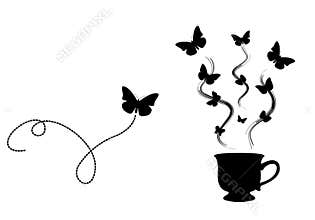 Butterfly Coffee