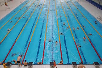 The indoor swimming pool