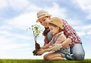 Girl plant sapling tree