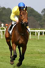 Man and horse