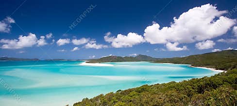 Tropical Paradise