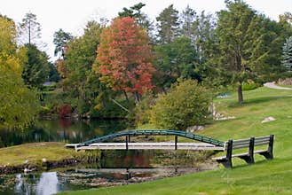 Bridge & Bench