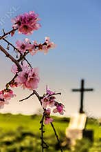 EASTER.Death and rebirth: the tomb and almond flowers(Apulia)-ITALY-