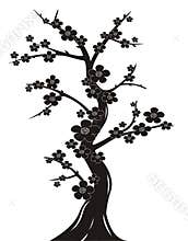 Cherry blossom tree silhouette