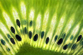 Fresh Green Kiwi Fruit Macro Closeup w/ Seeds