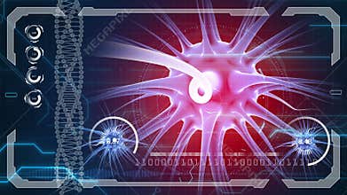 Brain impulses. Neuron system. Human anatomy. Brain work. transferring pulses and generating information. HUD background