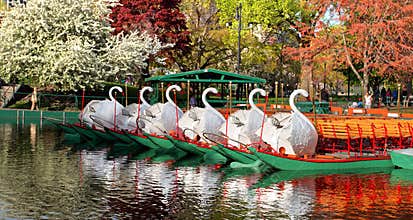 Boston Common and Public Garden, USA
